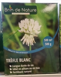Semence Trèfle blanc