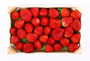 Fraises 500g