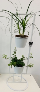Support avec 2 plantes 