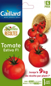 Graines Tomate Estiva F1