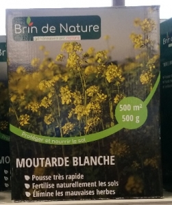 Semence Moutarde blanche