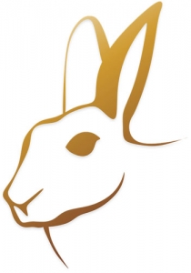 Lapin