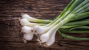 Plant oignon blanc