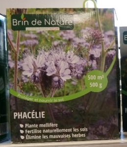 Semence Phacélie