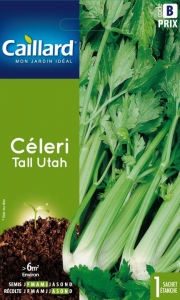Graines Céleri Tall Utah